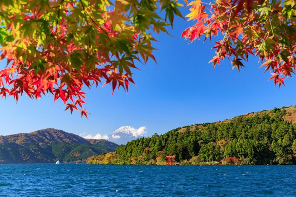 New Open『天然温泉』芦ノ湖畔の完全貸切別荘 Hakone Exterior photo